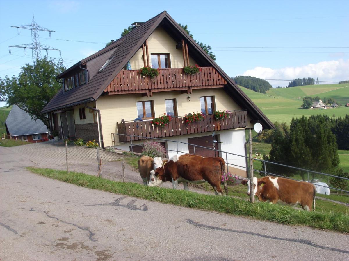 Ferienwohnung Duerrenbartleshof Breitnau Exterior foto